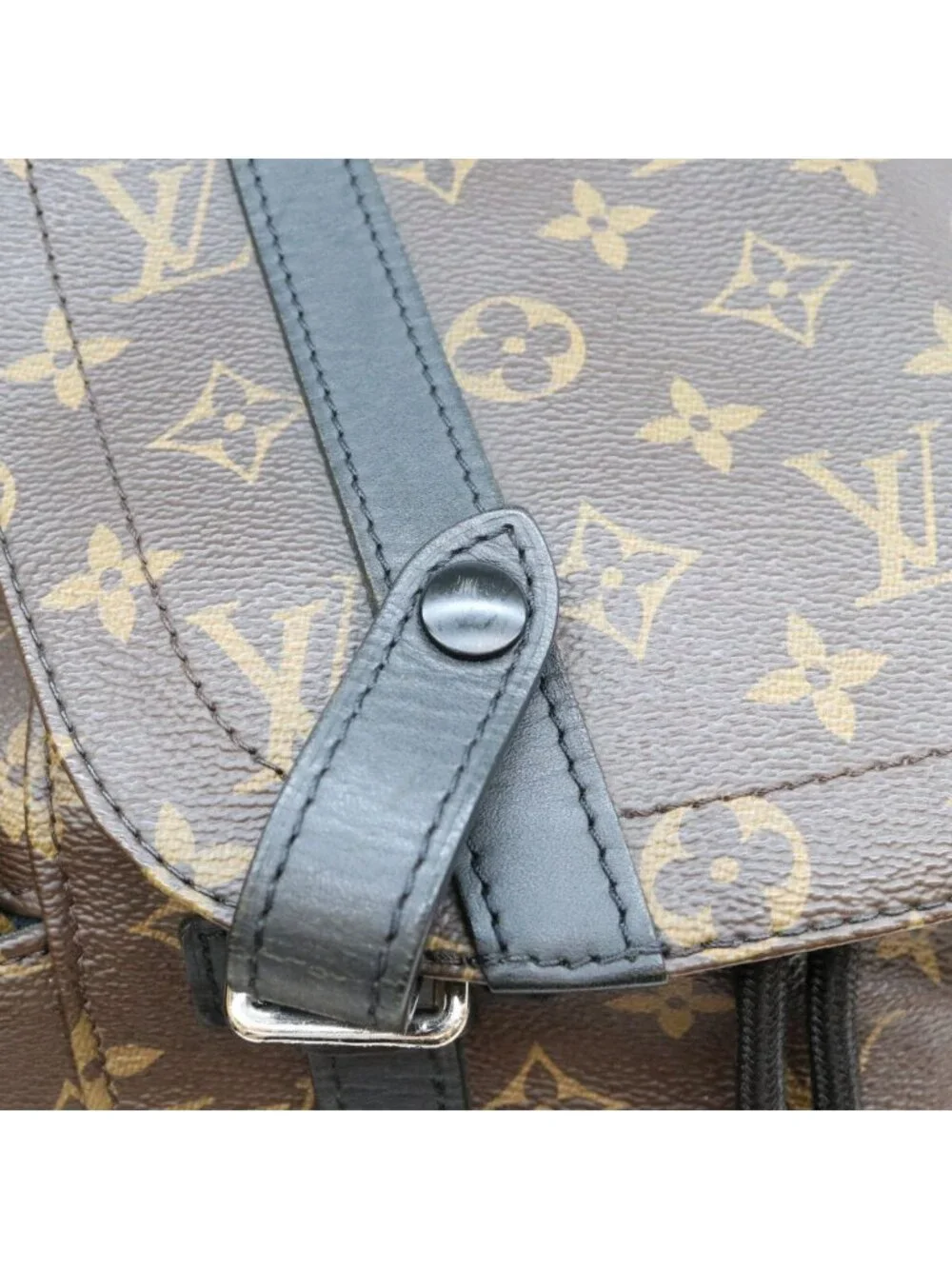 Louis Vuitton Monogram Macassar Christopher MM Backpack